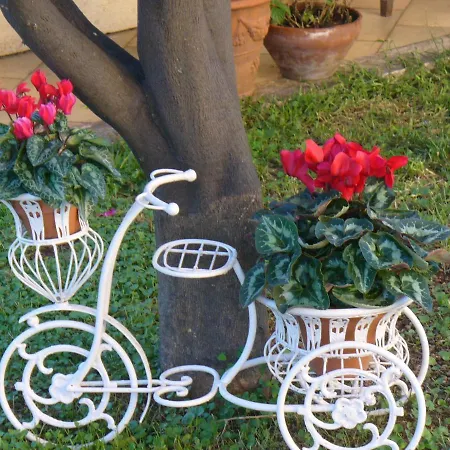 La Floreada Bed & Breakfast