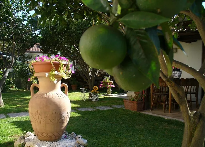 Bed and Breakfast La Floreada *